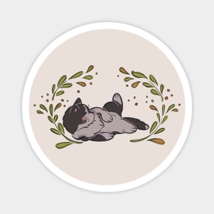 Cute Black and Grey Cat Magnet